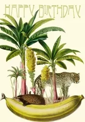 Karnet B6 z kopertą Urodziny Banan - Madame Treacle