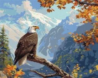 Malowanie po numerach - Strażnik szczytu 40x50cm - Ideyka