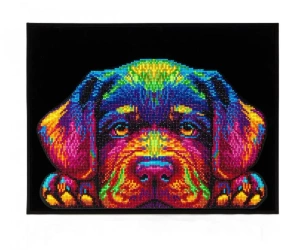 Diamond Dotz - Adults Neon Puppy