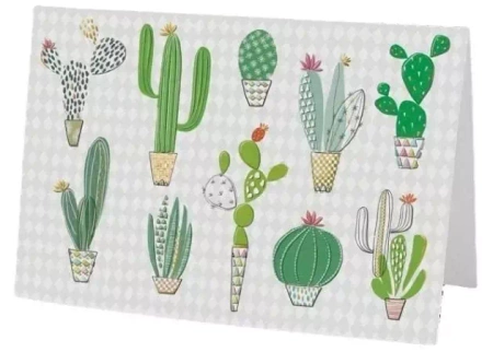 Karnet B6 + koperta MO7475 Kaktusy - Turnowsky
