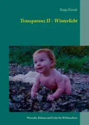 Transparenz II - Winterlicht - Kirsch Katja