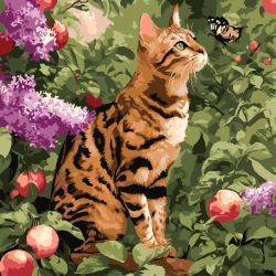 Malowanie po numerach - Kot bengalski 40x40cm - Ideyka