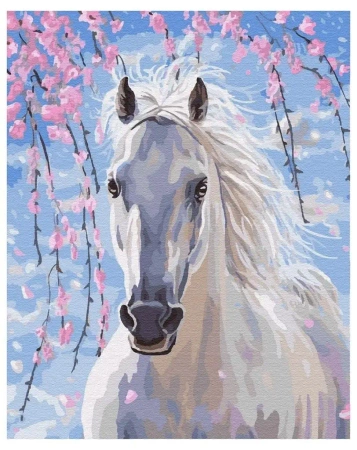 Malowanie po numerach - Biały koń 40x50cm - Twoje Hobby