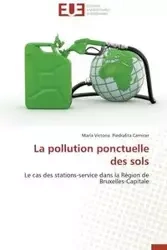 La pollution ponctuelle des sols - CARNICER-M