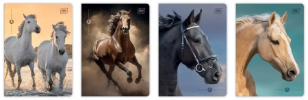 Zeszyt A5/16k kratka 70g Uv Wild Horses Int A 20 - Interdruk