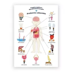 Plakat edukacyjny. Anatomia człowiek A2 - Biomedica