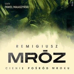 audiobook Cienie pośród mroku - Remigiusz Mróz