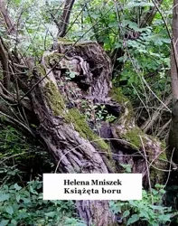 eBook Książęta boru - Helena Mniszek epub mobi