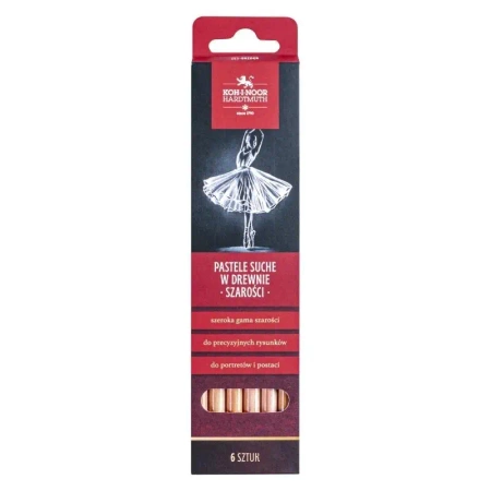 Pastele suche w drewnie 8820 szarości 6szt. - Koh-I-Noor