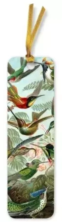 Zakładka do książki BKMK82 Kolibry Ernst Haeckel - Flame Tree PAP