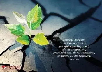 Karnet z wersetem. Zewsząd uciskani, nie jesteśmy jednak pognębieni...