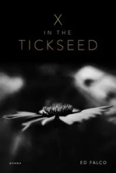 X in the Tickseed - Ed Falco