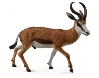 Kozioł Springbok - Collecta