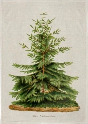 Ręcznik kuchenny - Jodła - Skona Ting