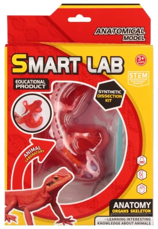 Zestaw Naukowca Anatomia Jaszczurka Mega Creative 567931