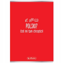 Zeszyt w linię A5 Herlitz 60 kartek