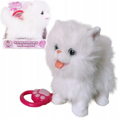 Kot chodzący na smyczy - Artyk