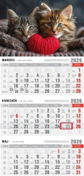 Kalendarz 2026 trójdzielny z magnesem kotki - Pan Kalendarzyk