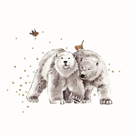 Karnet Swarovski kwadrat Niedźwiadki i ptaszki - Clear Creations