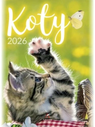 Kalendarz 2026 wieloplanszowy B4 Koty - praca zbiorowa