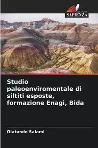Studio paleoenviromentale di siltiti esposte, formazione Enagi, Bida - Salami Olatunde