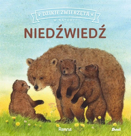 Dzikie zwierzęta w naturze. Niedźwiedź - Renne Renne, Patrycja Zarawska