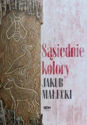 eBook Sąsiednie kolory - Jakub Małecki mobi epub