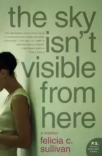 The Sky Isn't Visible from Here - Felicia Sullivan C