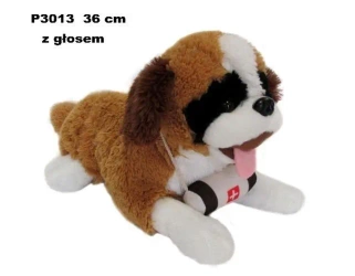 Bernardyn z głosem 36cm - Sun-Day