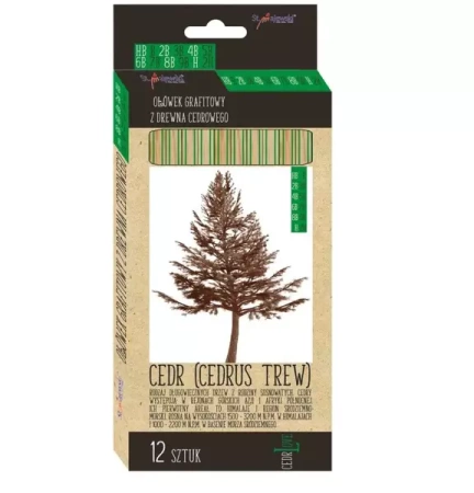 Ołówek sześciokątny HB-2H CedrLove (12szt) MIX - ST-MAJEWSKI