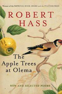 Apple Trees at Olema, The - Robert Hass