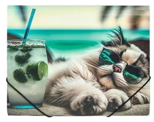 Teczka A4 PP na gumkę z nadrukiem Chillout Cat - Panta Plast