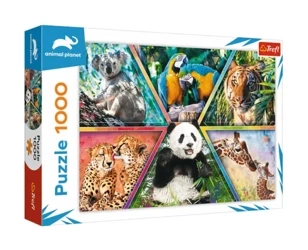 Puzzle 1000 Królestwo zwierząt 10672 - Trefl PAP