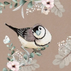 Karnet Swarovski kwadrat CL4704 Ptaszek - Clear Creations