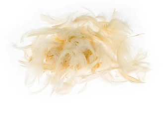 Pióra ecru 5-12cm 7g - Brewis