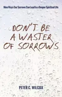 Don't Be a Waster of Sorrows - Peter C. Wilcox