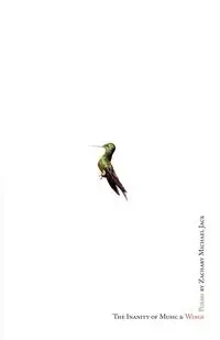 THE INANITY OF MUSIC AND WINGS - Jack Zachary Michael