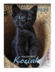 Kalendarz 2024 Kociaki ścienny - KALPOL.BIS kalendarze