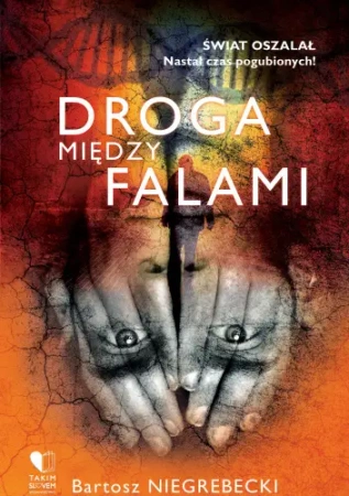 Droga między falami - Bartosz Niegrebecki