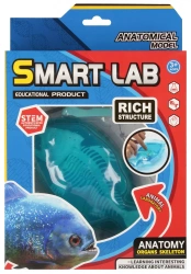 Zestaw Naukowca Anatomia Ryba Mega Creative 567933