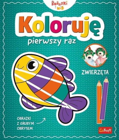 Koloruję pierwszy raz. Zwierzęta - praca zbiorowa