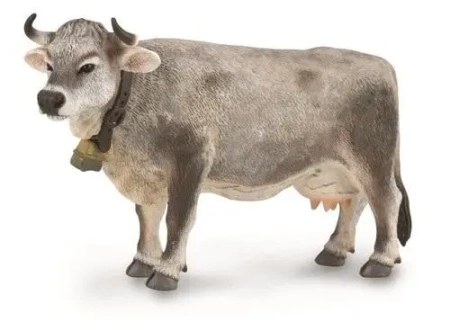 Krowa tyrolska szara - Collecta