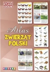 Ilustrowany atlas szkolny. Atlas zwierząt Polski - praca zbiorowa
