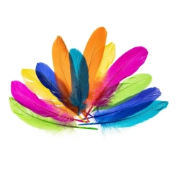 Piórka gęsie nenowy 15-20cm - Brewis