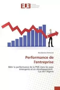 Performance de l'entreprise - AMROUNE-B