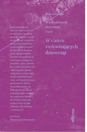 W cieniu rozkwitających dziewcząt - Marcel Proust