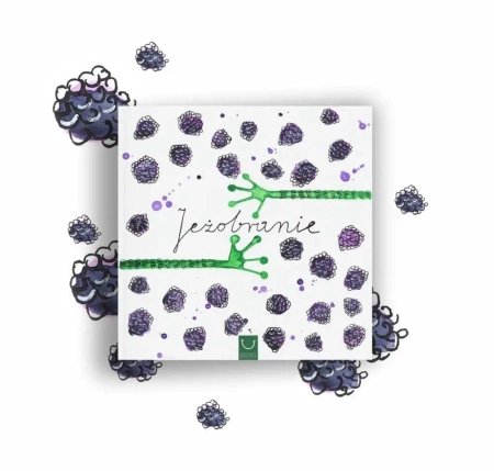 Jeżobranie - Katarzyna Zych