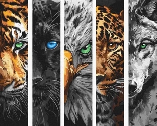 Malowanie po numerach - Drapieżniki 40x50cm - Ideyka