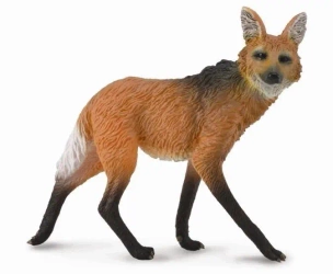 Wilk grzywiasty - Collecta