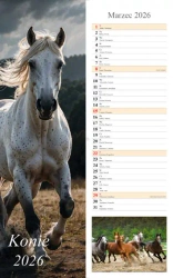 Kalendarz 2026 ścienny pasek Konie - praca zbiorowa
